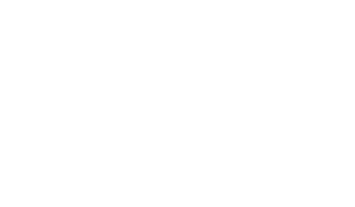 IUT Hubert Curien Logo partenaire